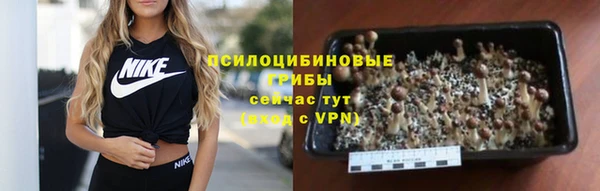 синтетический гашиш Армянск