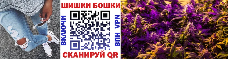 hydra tor  купить наркотики сайты  Отрадный  Конопля семена 